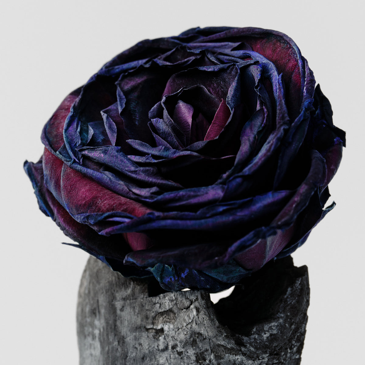 BODY MIST / BLACK ROSE & OUD